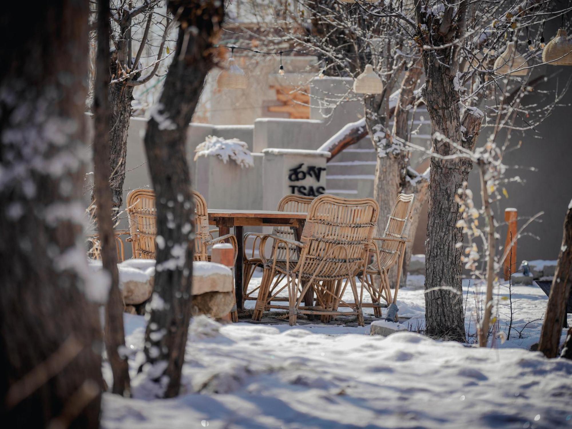 Dolkhar Resort Leh Extérieur photo